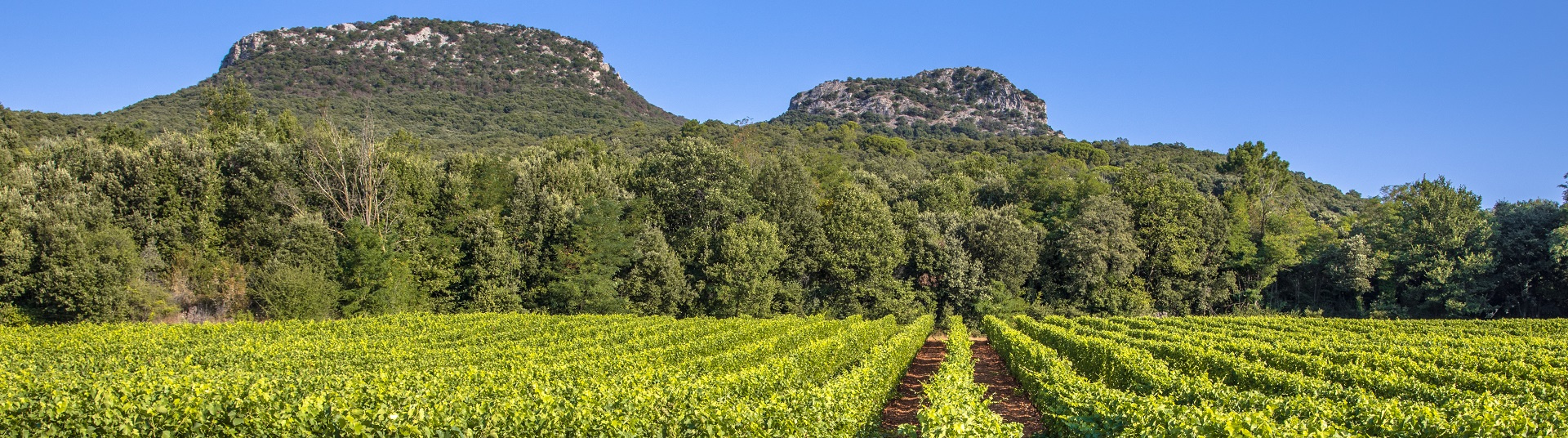 Hôtel pas cher Languedoc-Roussillon